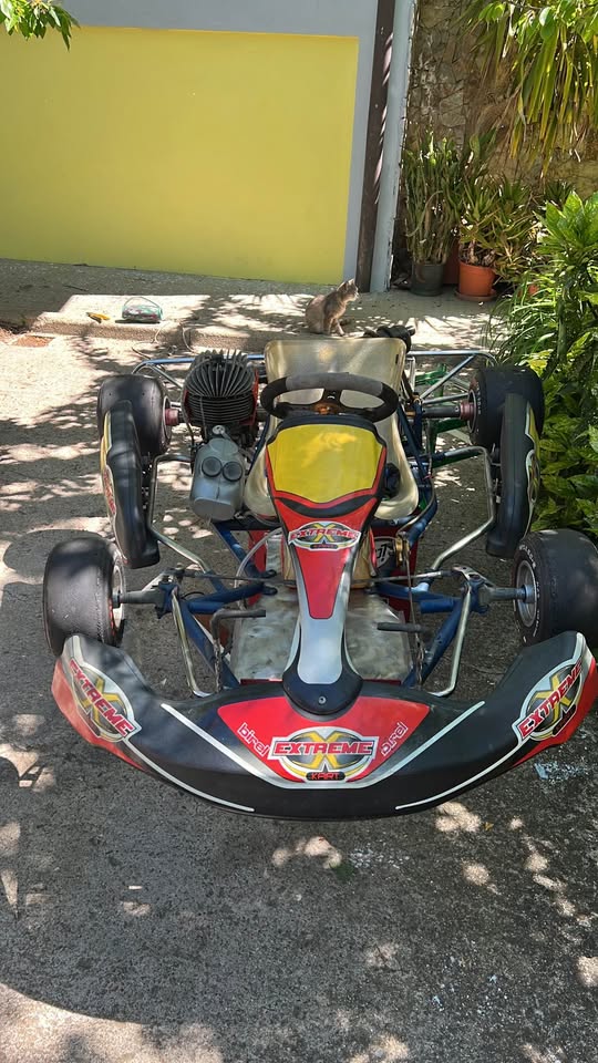 Kart Birel 100cc in vendita da DC Auto a Belvì – foto 5
