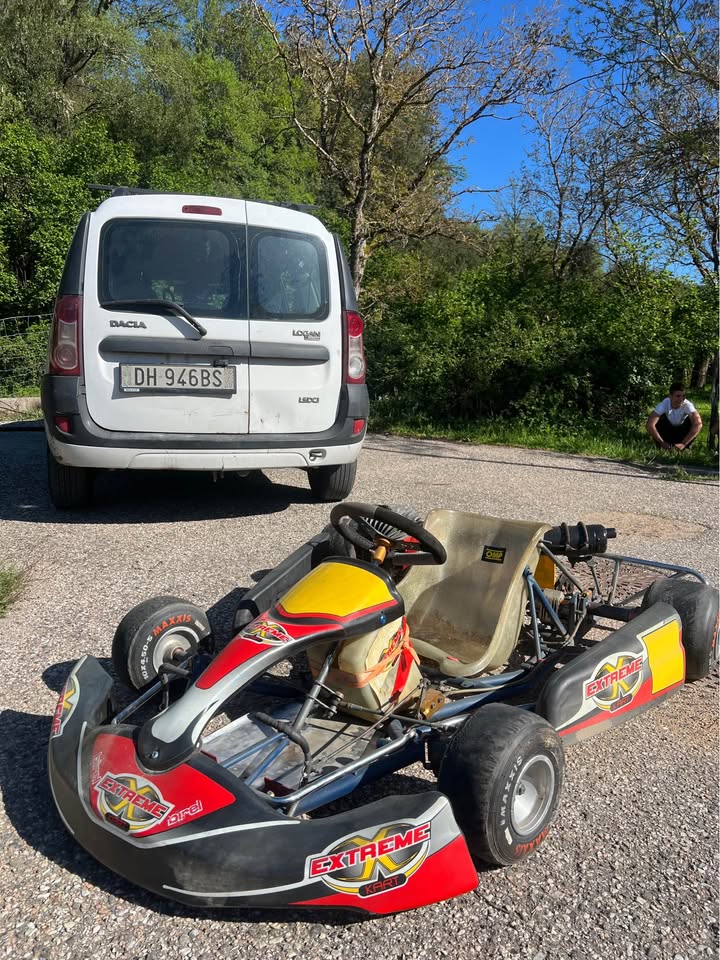 Kart Birel 100cc