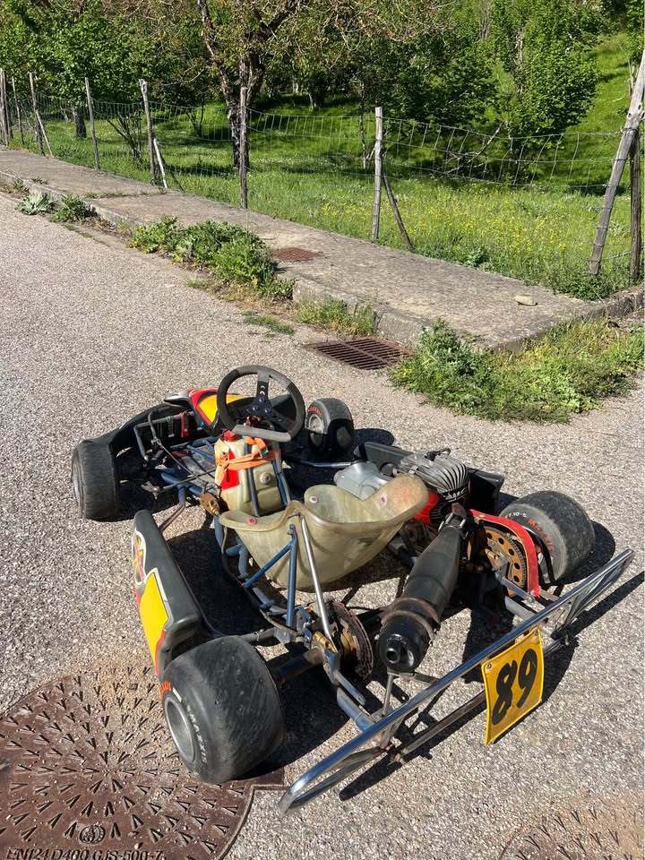 Kart Birel 100cc in vendita da DC Auto a Belvì – foto 4